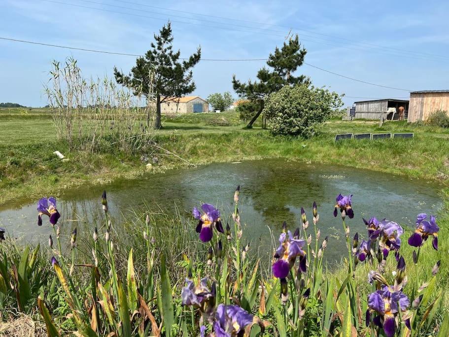 Maison De Charme Au Coeur Des Marais Pour 6 Pers. Bouin  Extérieur photo