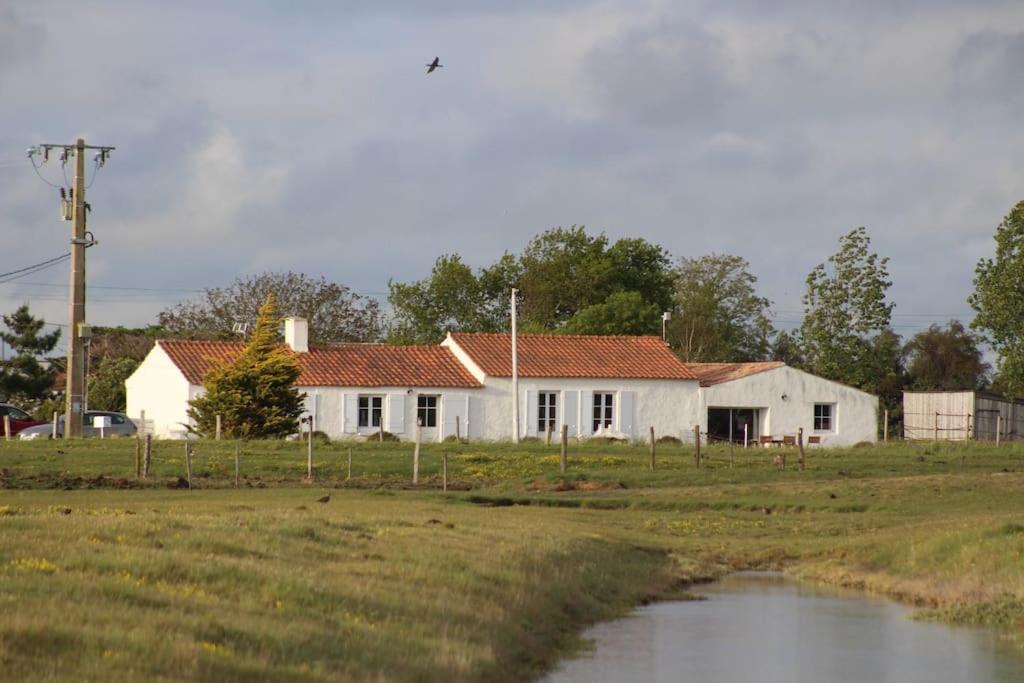 Maison De Charme Au Coeur Des Marais Pour 6 Pers. Bouin  Extérieur photo